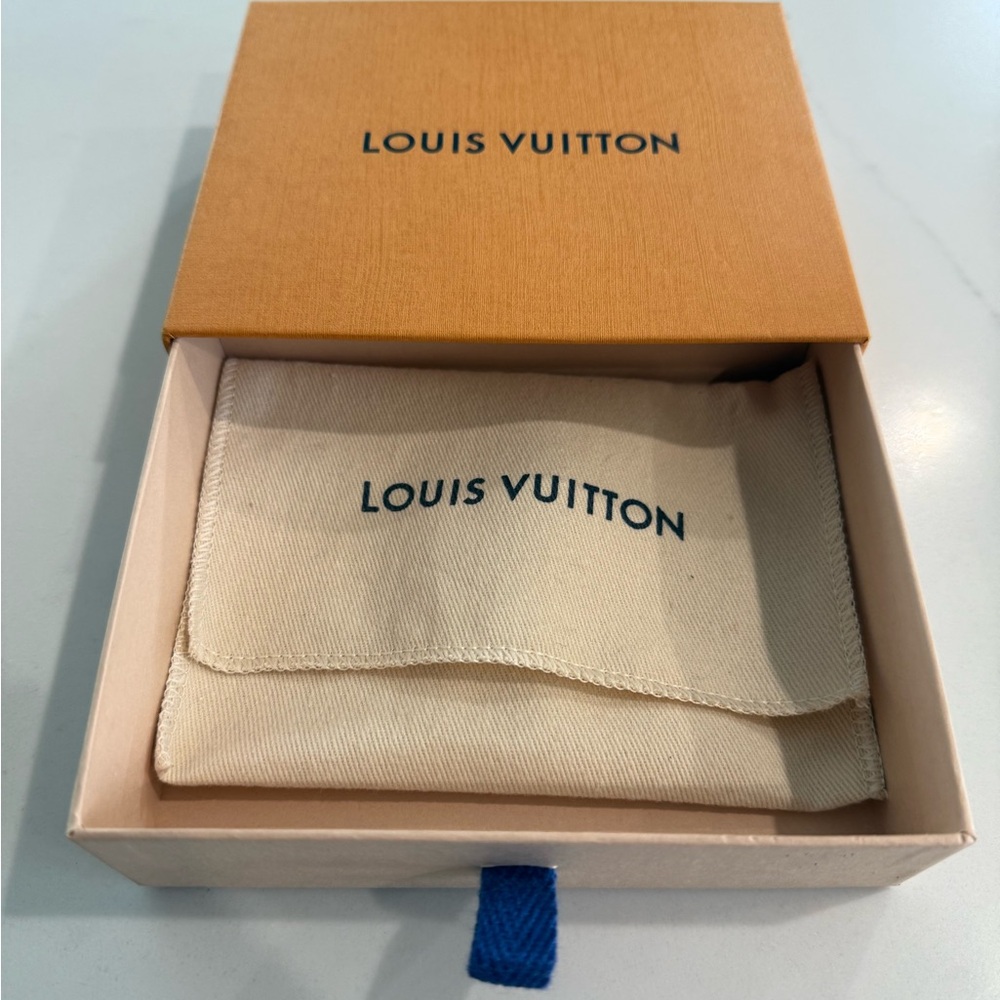 Louis Vuitton Small Box, Dust Bag, and Carrier Bag - Picture 4 of 7